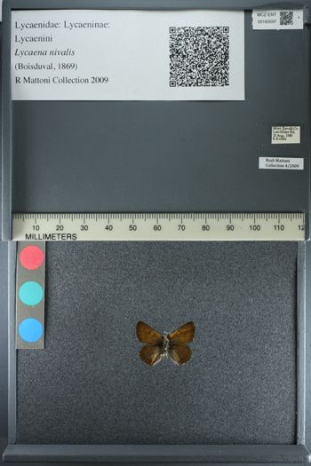 Media type: image;   Entomology 183597